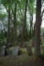Auf dem Jüdischen Friedhof Großen-Buseck am 15.5.2018