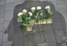 2018 - Verlegung von Stolpersteinen am 19.10.